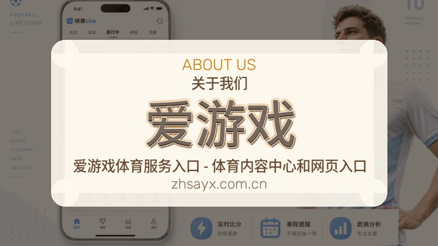 爱游戏比赛资料整理服务